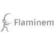 generate_flaminem_logo