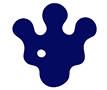 generate_jalgos_logo